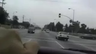 Acute orgy cycatych females