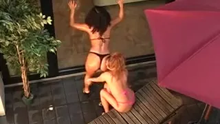 Two glides-lubricating olive