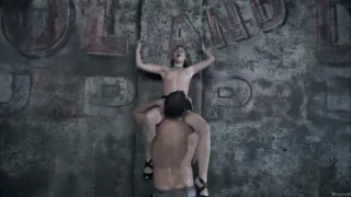 Animals (2008) Nicky Aycox