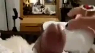 junior asian shemale jerking off