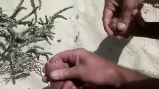 Crazy homemade gay video with Outdoor scenes