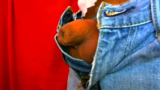 Amazing amateur gay movie with Webcam, Solo Male scenes