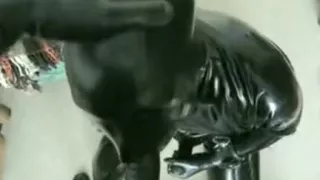 Heißeste Amateur-Gay-Videos mit BDSM, Blowjob-Szenen