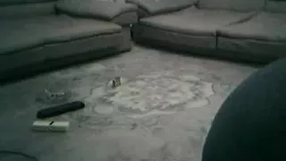 Mukta [RAHA] Morolbari Kuril Bishwa Road Dhaka Bangladesh 2