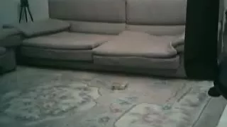 Bangladeshi prostitute scandal uttara dhaka 02