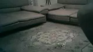 Bangladeshi prostitute scandal uttara dhaka 03