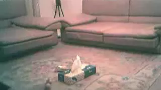 Bangladeshi prostitute scandal uttara dhaka 04