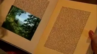 Heidi -Teil 6 - Heidi lasst sie alle jodeln (1993)