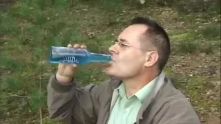 Promenade dans les bois