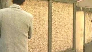 Affäre, Japanischer Sex, Japanerin, Reife Frauen, Milfsex