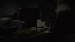 Il falo delle zoccole