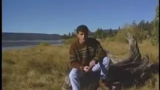 Pärchen fickt auf Couch