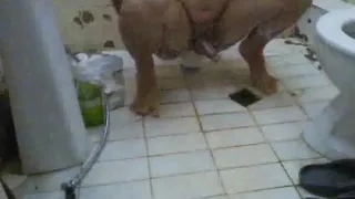 Schwuler Sex, Masturbation, Socken