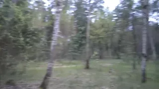 Forest Blowjob with cum swallow