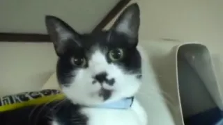 sex at girl\'s home part 4