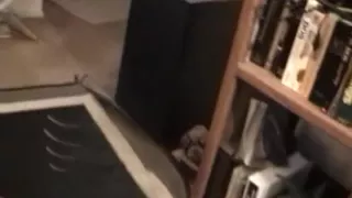 Hot Amateur Natural tits adult video. Bon Appetit