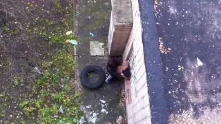 Asiatische Weiber, Blowjob, Creampie, Voyeursex