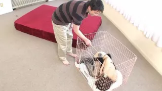 Shiori Aiuchi Uncensored Hardcore Video