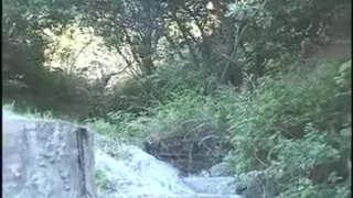 Three busty ebony lesbians TTT