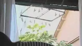 Next door couples bedroom