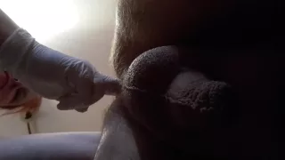 Another ancle: used with cucumber, hand and big dildo