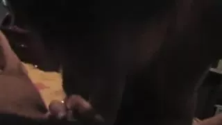 Awesome beginer blowjob on webcam with horny college girl