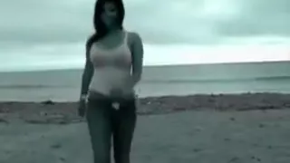 Parts of life by honeybee