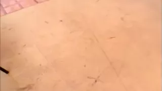 Cool Hardcore Golden Shower immoral action