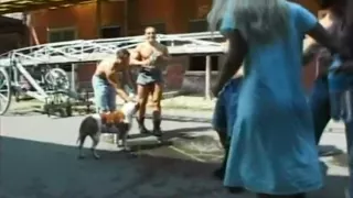 Great Pornstar Toys sex video