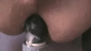 azelalapute baise gonzo pour anus xxl