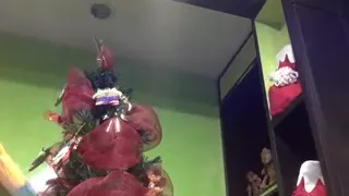 Michelle Romanis Dildo