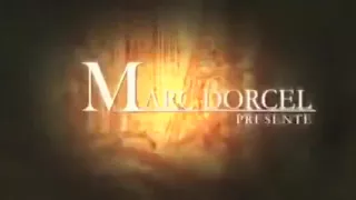 Sexy girls love living out their horny fantasies