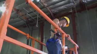 MILF Boss Diana Doll