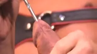 urethral sounding with big cumshot