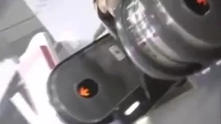 Chubby Wife Flower Decoration