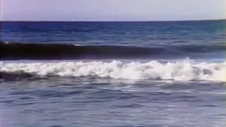 Serena: An Adult Fairytale - 1980