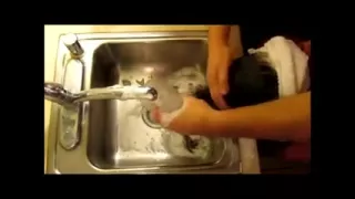 Hair Washing forward