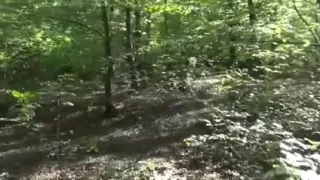 Stranger join fuck wench wife in woods