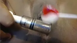 hot black love tunnel squirts