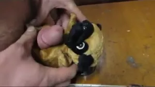 kleiner Plüsch gefickt und Sperma