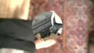 Polish teens group sex