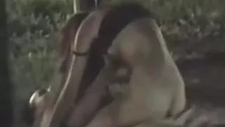 caught in the park 1