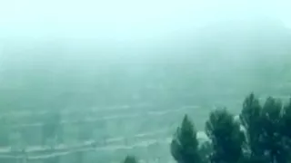 Beautiful Brazilian babes get fucked in the woods