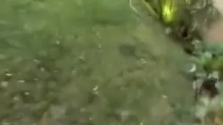 Busty babe gets an all over erotic massage