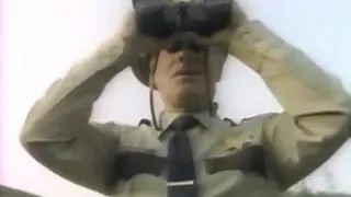 buzzed (enf), striped by bee