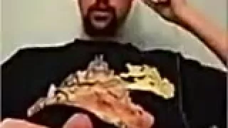 Ich wünschte, ich wäre dieses Tenga-Ei