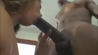 Exotic Shaved movie with Asian,Big Dick scenes