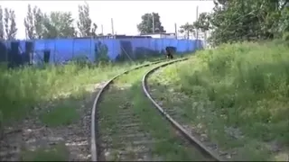 Nasty outdoor sex filmed on hidden livecam