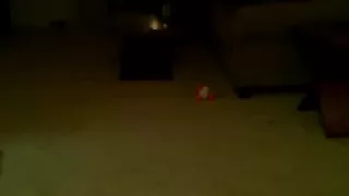 Cute blonde playing cock on webcam