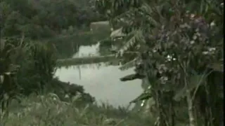 outdoor rest with a latina transsexual 